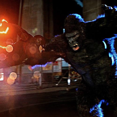 The Flash: Ataque à Cidade Gorila!