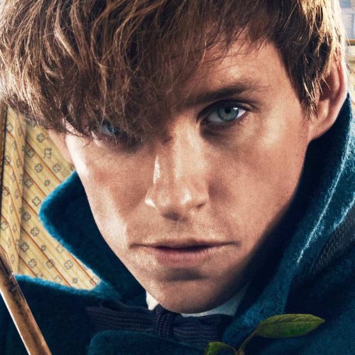 Cinco teorias de como Newt Scamander esteve em Harry Potter