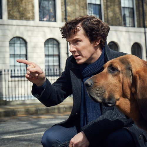 “Vocês ficarão chocados”, diz produtora de Sherlock!