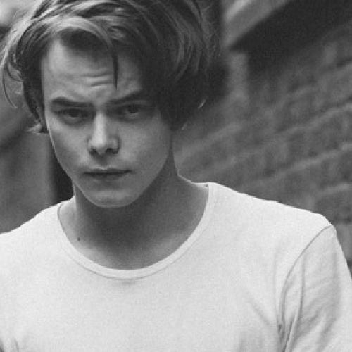 Charlie Heaton pode compor os Novos Mutantes!