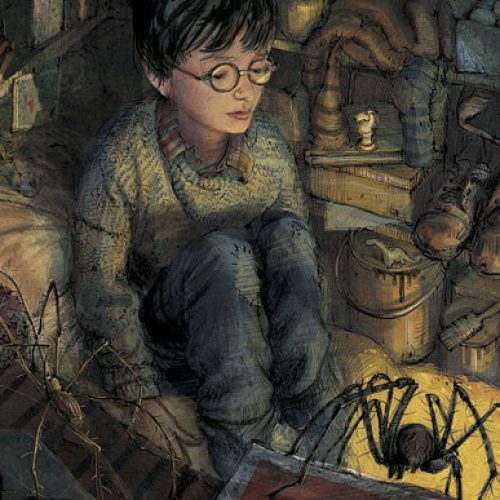 Nova versão de Harry Potter com 110 ilustrações chega às livrarias